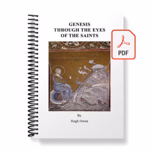 Genesis Through the Eyes of the Saints - E-Book (PDF)