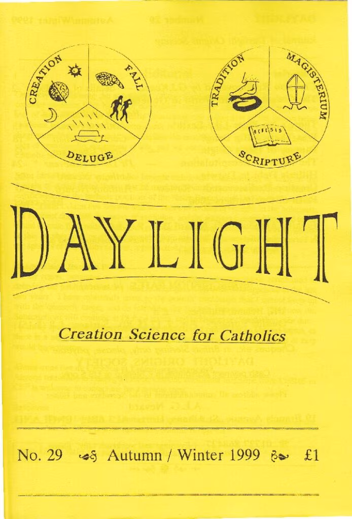 thumbnail of daylight-magazine-number-029-1999