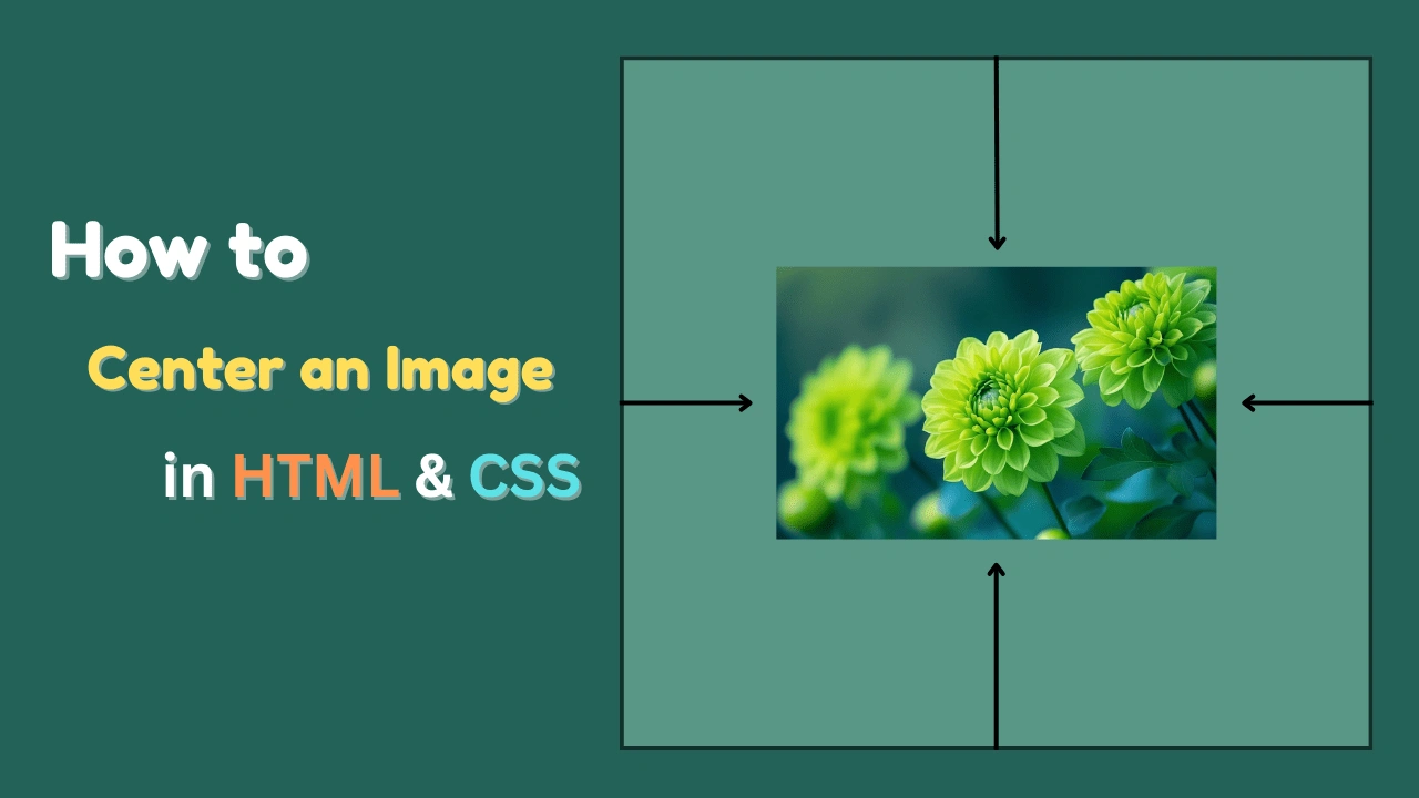How to Center an Image in HTML & CSS