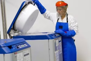 Medicina rigenerativa, premio internazionale per la ricerca