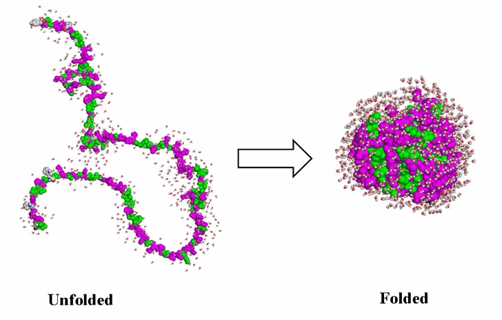Proteing folding