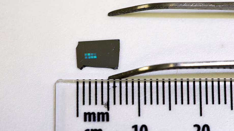 Neuroni cresciuti in un chip grazie ad una particolare matrice