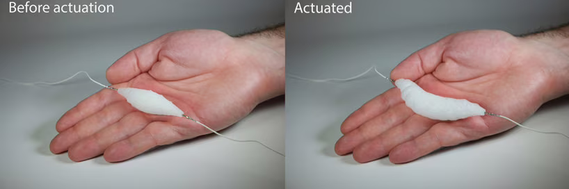 Muscoli artificiali soft