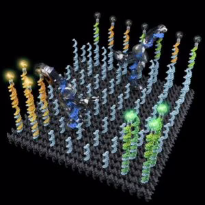 Dna robot