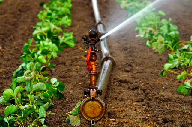 unibo madforwater