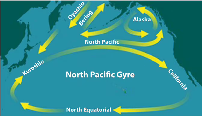 Le isole di plastica nel Pacifico sono più grandi del previsto