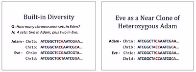 GodFamilyGenetics_1_03