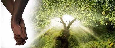 GodFamilyGenetics_2_01