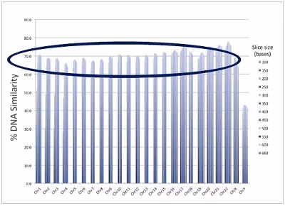GodFamilyGenetics_2_02