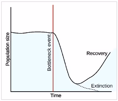 GodFamilyGenetics_2_06