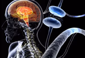 Parkinson's Disease Health Center