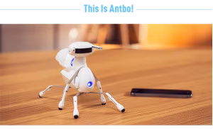 Antbo, robot insetto da programmare. Close-up Engineering