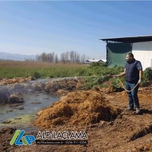 ALP ilaçlama dezenfekte gorseli alp ilaclama uygulama 2019 05 16