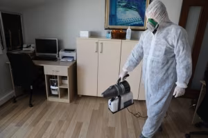 ALP ilaçlama dezenfekte gorseli Ev dezenfeksiyonu