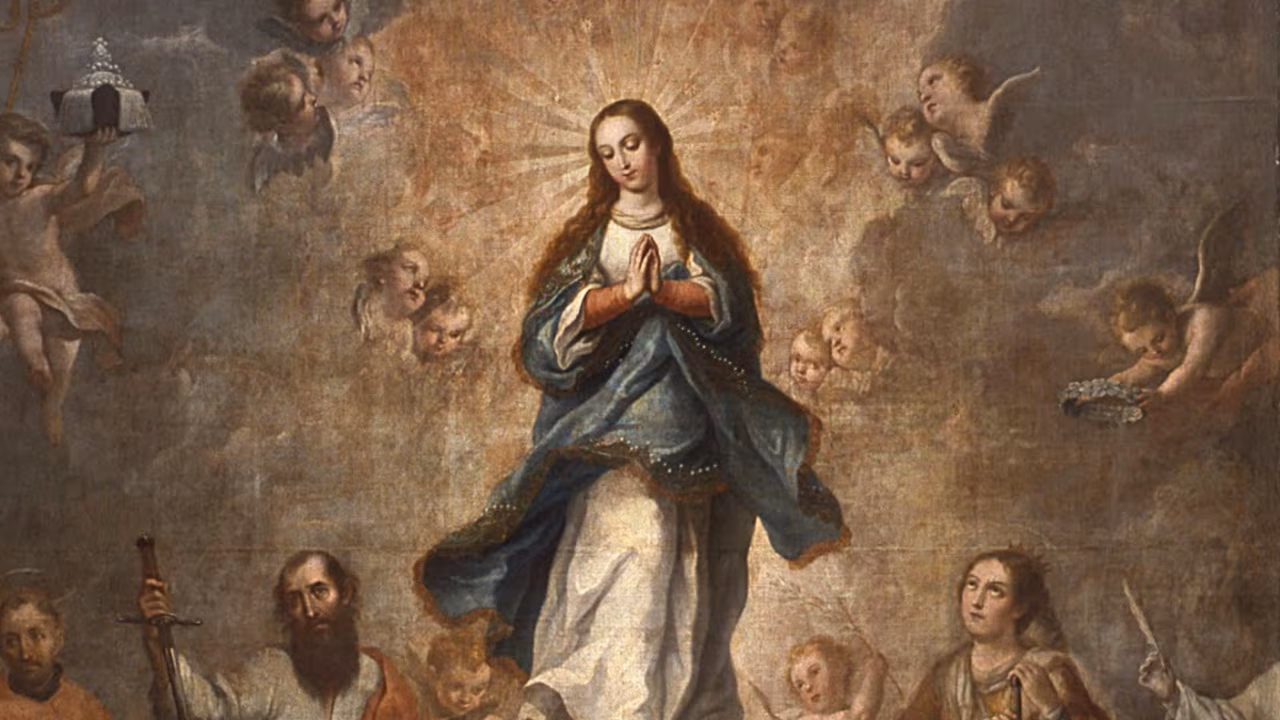 Imaculada Conceição da Virgem Maria - Arquidiocese de São Paulo