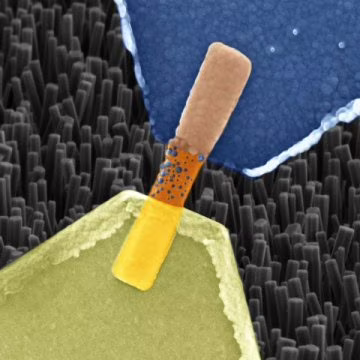 Riprodurre le sinapsi del cervello grazie a nanofili cristalliniRiprodurre le sinapsi del cervello grazie a Nanowire memristor