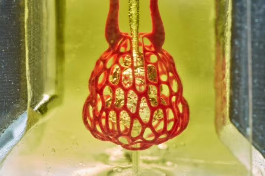Nuova tecnica per il bioprinting di organi 