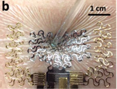 SCG cuore tatuaggio  Un tatuaggio per monitorare in real time il battito cardiaco