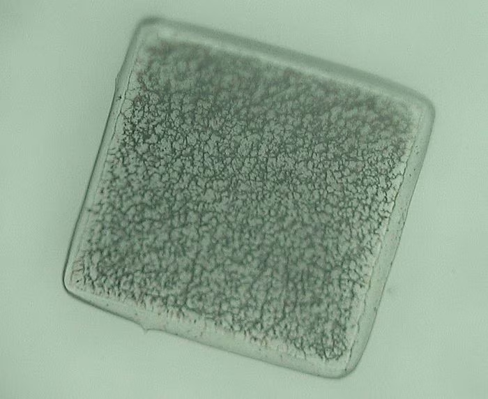 micro robot visti al microscopio