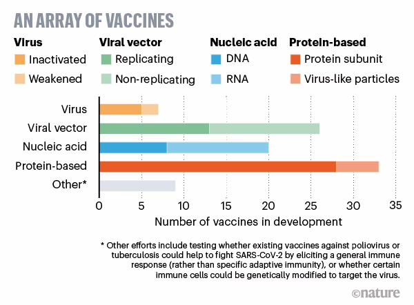 Vaccini studiati per combattere il coronavirus