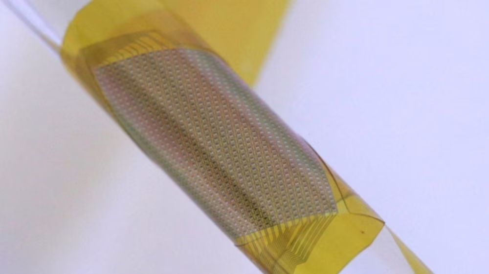 Interfacce neurali flessibili e sottili capaci di durare per oltre sei anni. Credits: Duke University