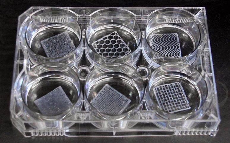 Scaffold 3D bioprinting