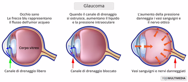 Isolate cellule staminali del nervo ottico per la prima volta
