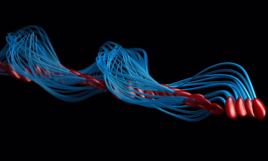 Gli spermatozoi ci hanno ingannato per più di tre secoli. Credits: polymaths-lab.com