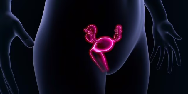 Trapianto di utero