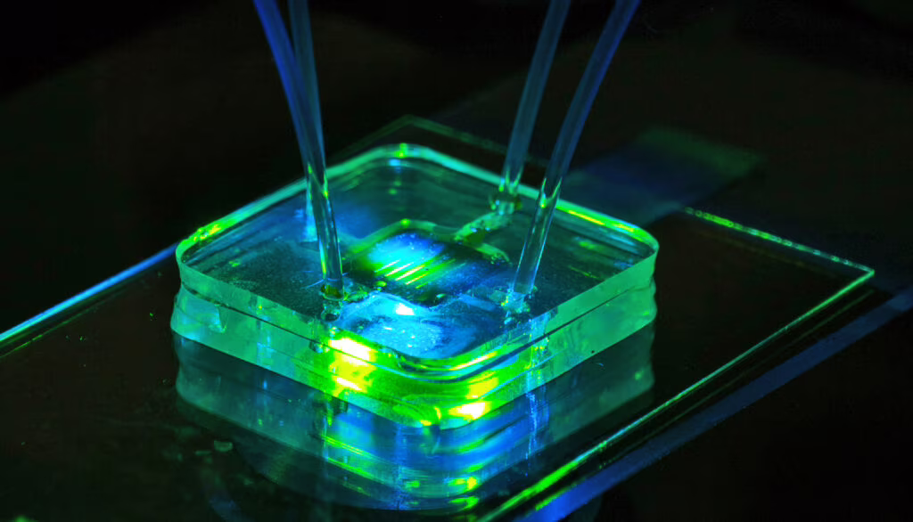Esempio di Lab On Chip photo by J. Adam Fenster / University of Rochester