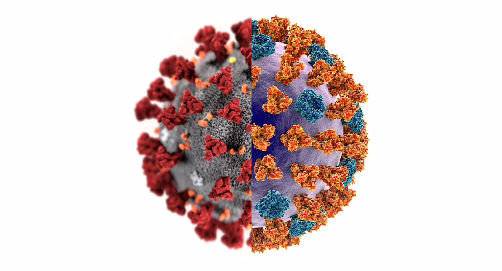 differenze coronavirus influenza vaccino