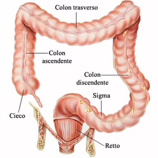 Tumore al colon-retto: un nuovo mix di farmaci ne rallenta la crescita