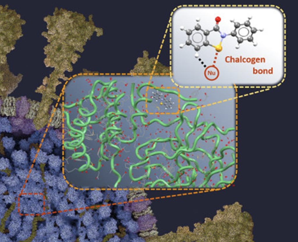 Covid-19: Scoperto un inibitore che potrebbe bloccare la replicazione del virus SARS-CoV-2