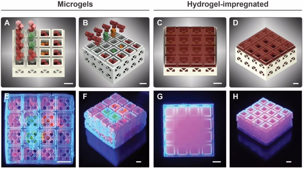 Scaffolds per ingegneria tissutale ispirati ai mattoncini Lego. Credits: Advanced Materials