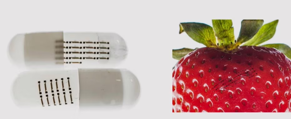 sensori elettronici commestibili