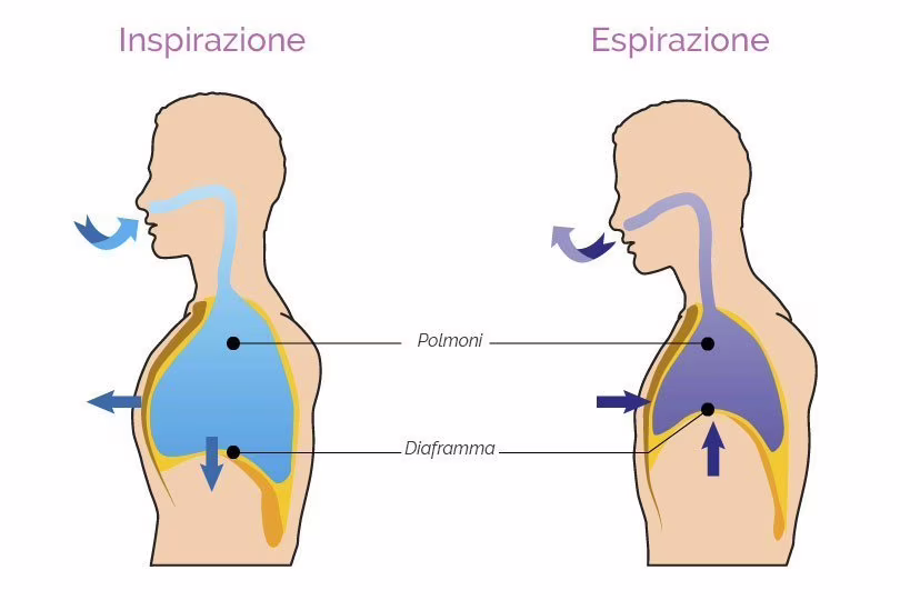 respirazione