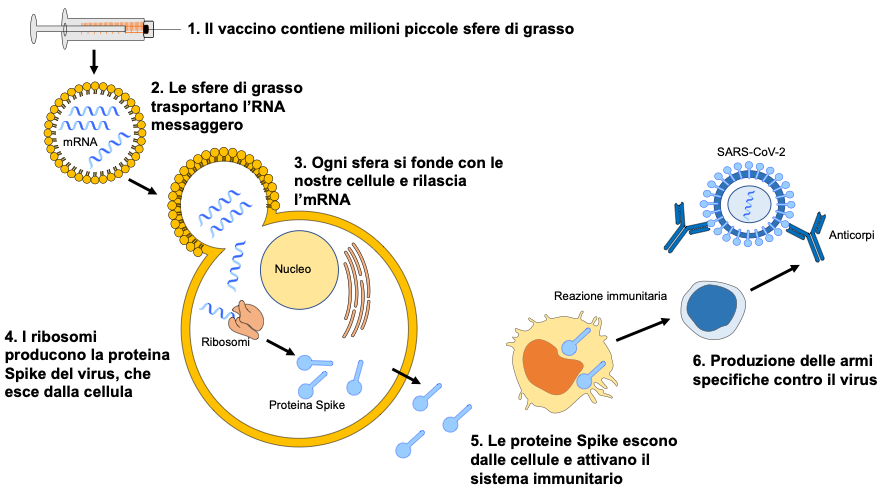 Vaccino anti COVID-19: Comirnaty, speranza e fiducia sono la chiave. Credits: Ospedale Pediatrico Bambino Gesù (Roma)