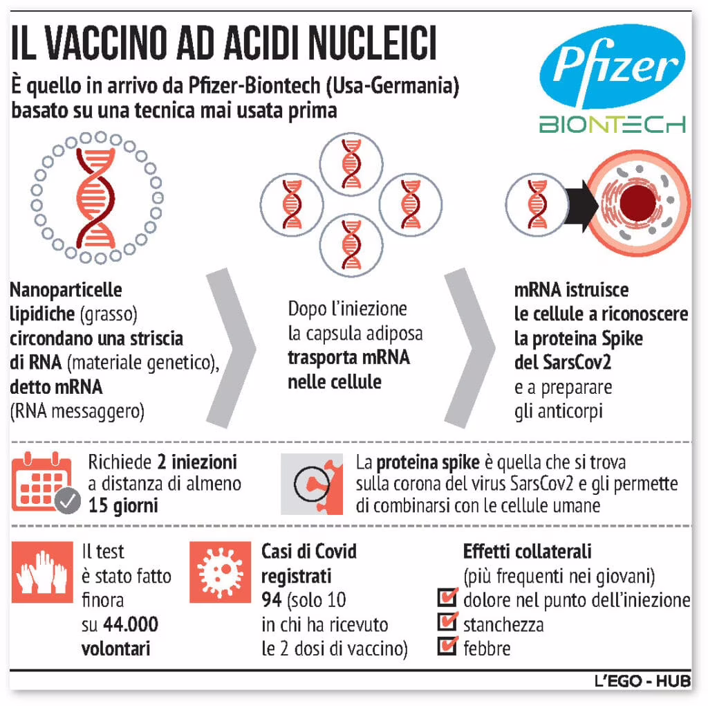Quanto sappiamo sul vaccino contro la COVID-19? Credits: L'EGO-HUB