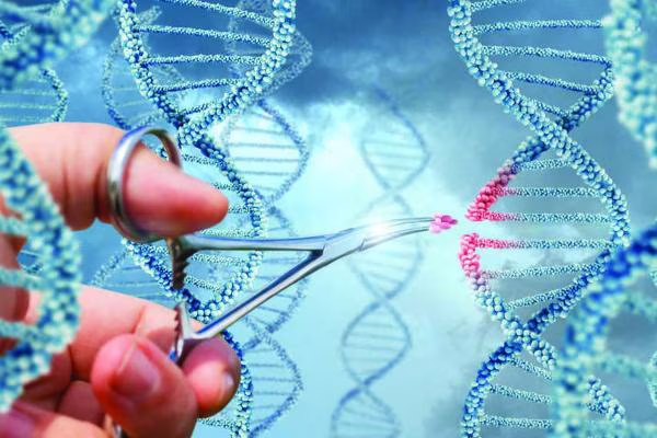Meyer di Firenze: Terapia genica usata su un neonato affetto da SMA1