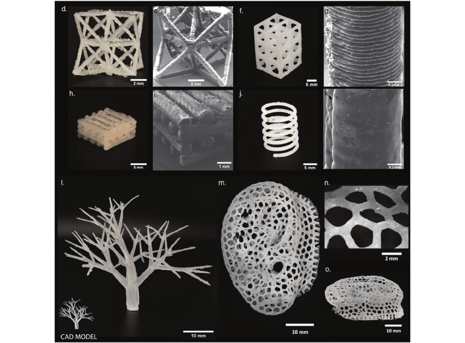 NEST3D