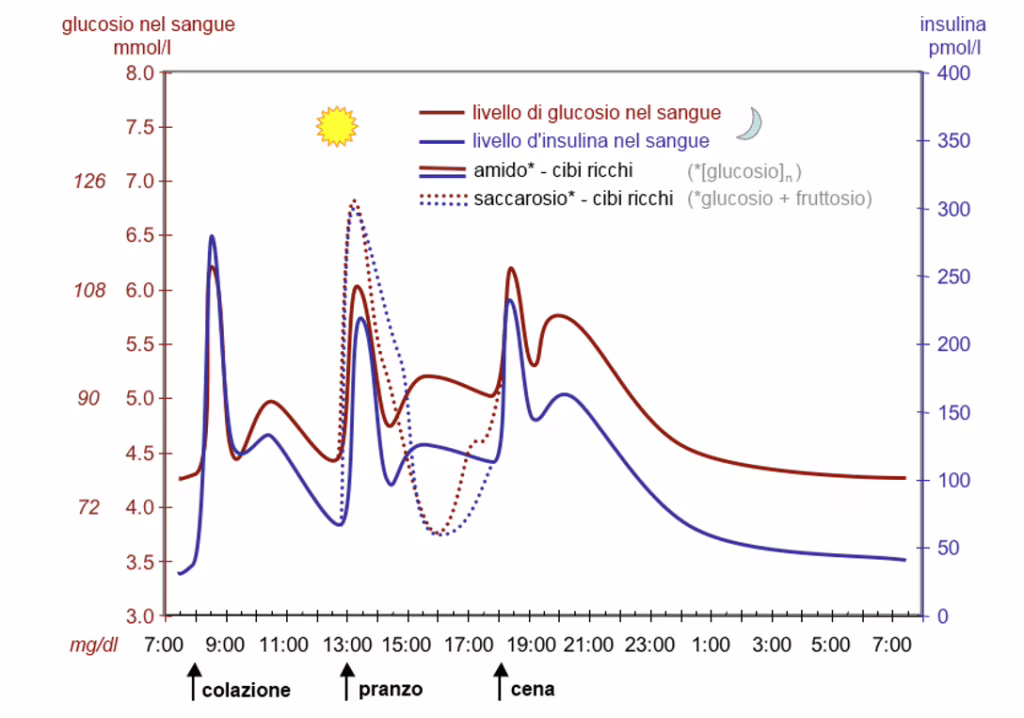 Andamento della glicemia nelle 24 ore glucometro