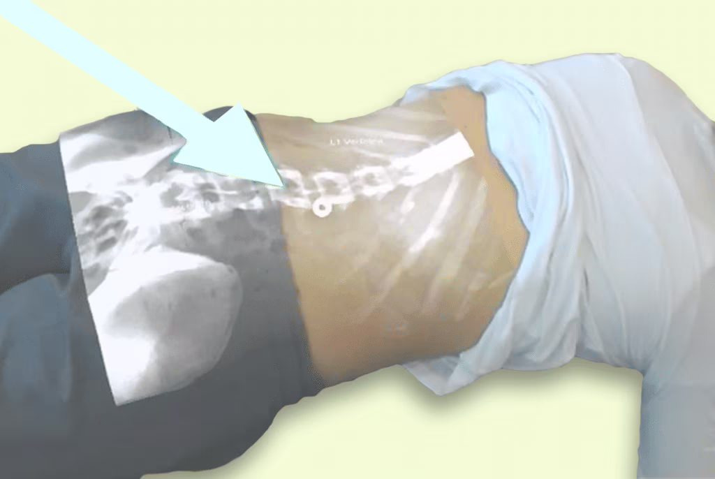 ProjectDR realtà aumentata