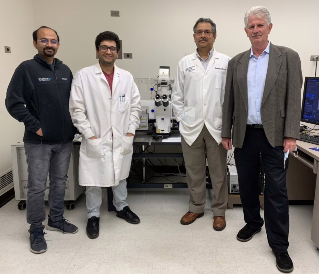 Un possibile legame tra virus herpes simplex e malattie neurodegenerative. Credits: UIC