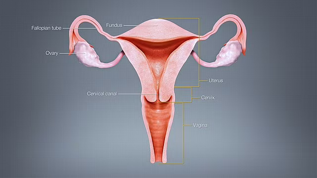 Nanosensori per la diagnosi precoce del cancro ovarico