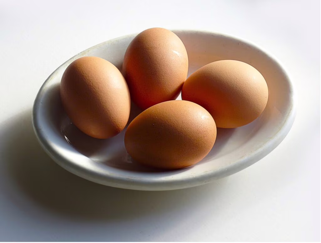salmonella
