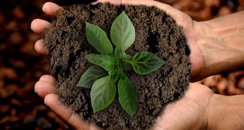 CUPPER Teas: il tè sostenibile che aiuta il pianeta e i suoi abitanti 
