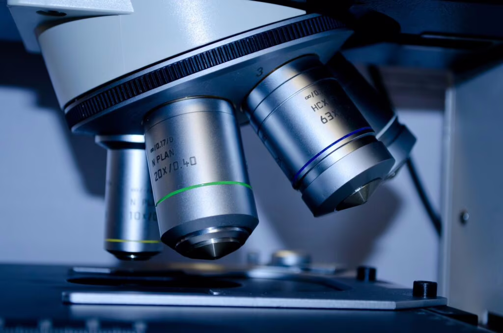 Stimolare il sistema immunitario per combattere il cancro: nuovi risultati nell'immunoterapia