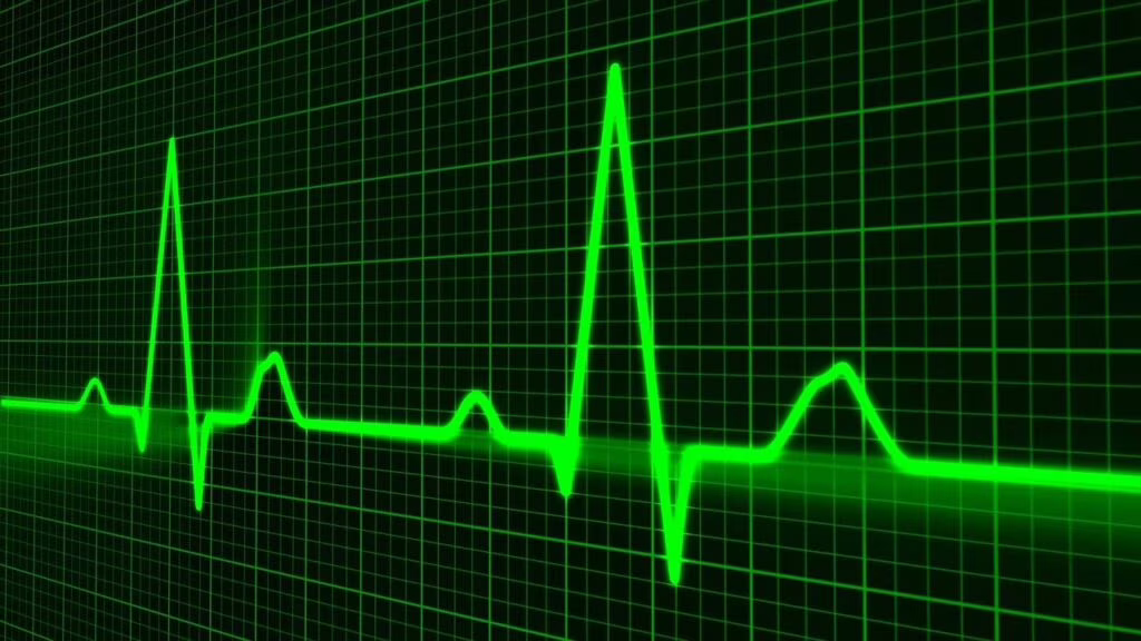 Le emozioni nascono dal cuore