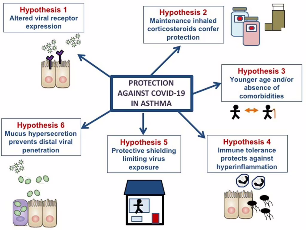 Covid-19: asma e allergie proteggono