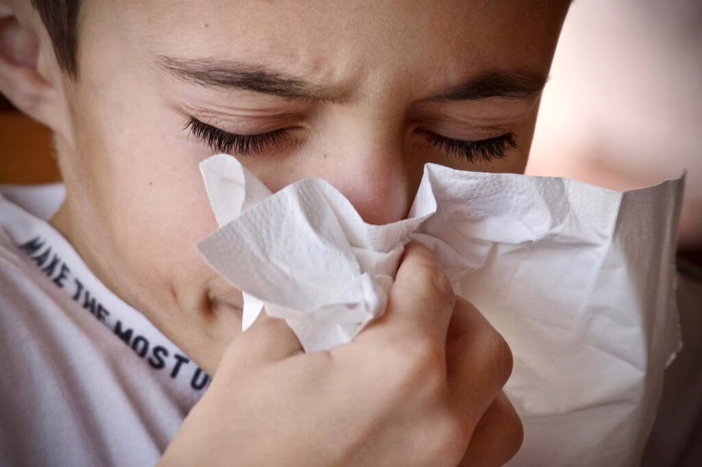 Verso un vaccino per l'allergia al polline
